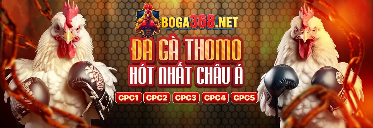 Các trò chơi đa dạng trên ứng dụng Bet88247 Link Vào