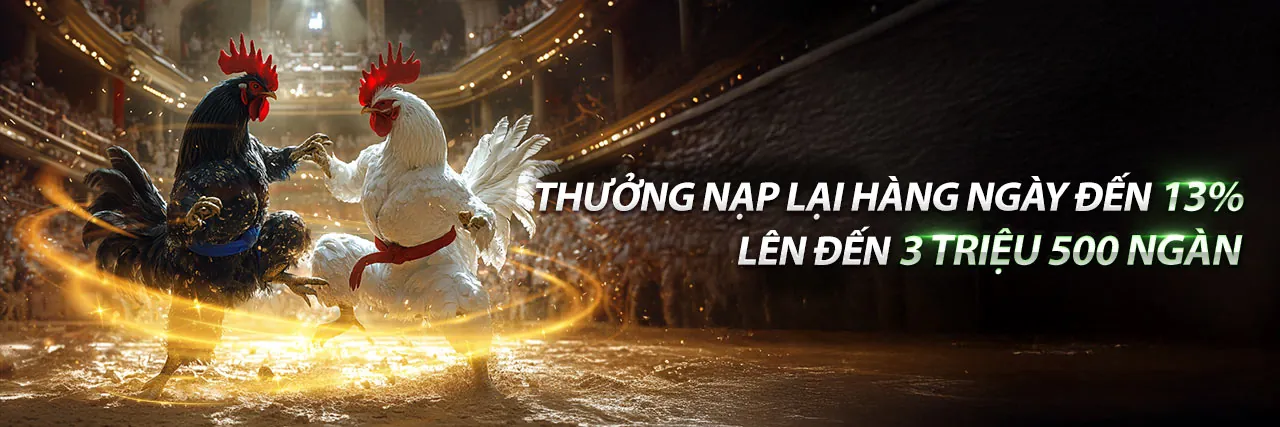 Sân đấu đá gà trực tiếp sôi động tại Bet88247