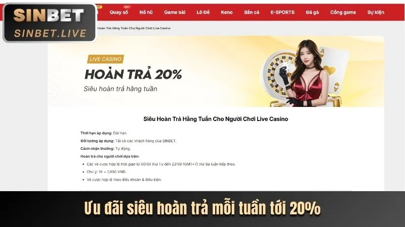 Các chương trình khuyến mãi và ưu đãi độc quyền tại bet88247
